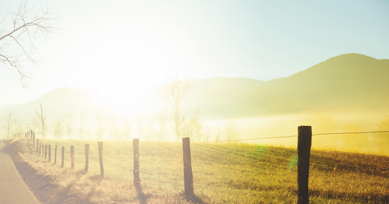 Home › Homeland Community Bank