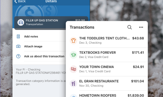 Image of the Geezeo Transactions enrichment screen design.