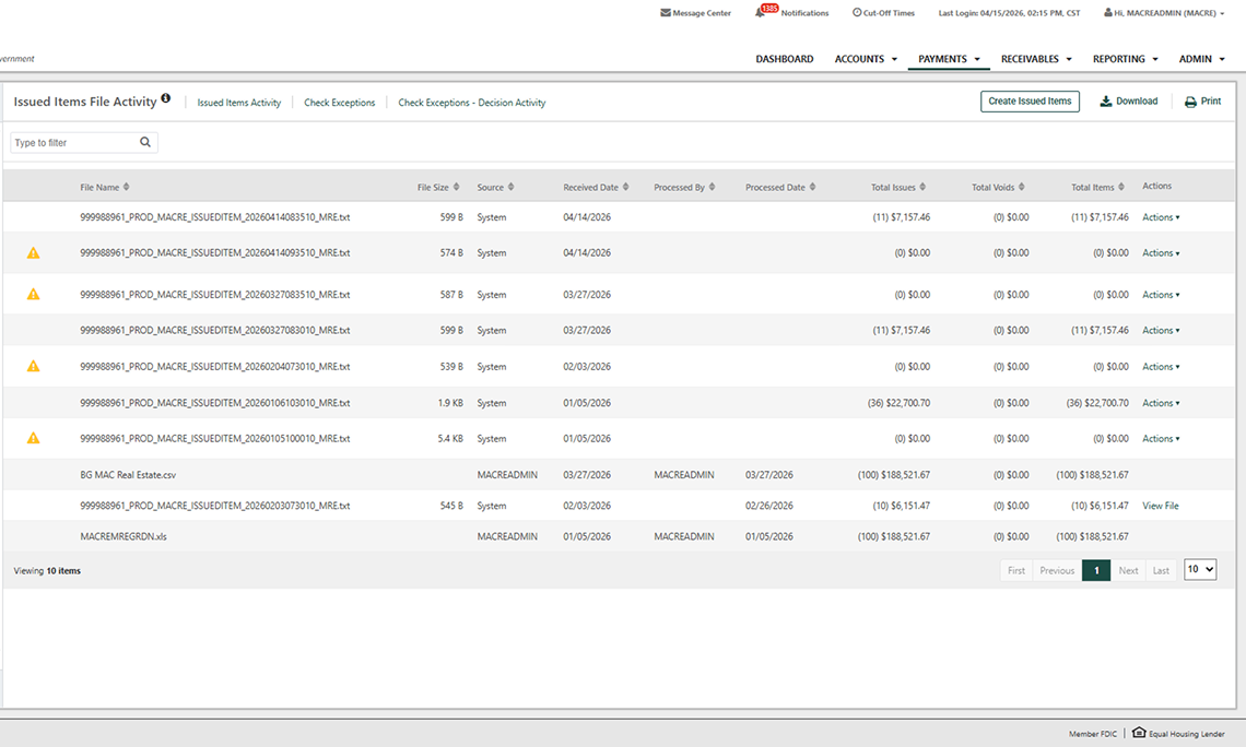 Screenshot of the 'Issued Items File Activity' page in Treasury Management.